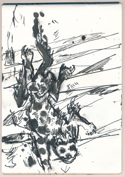 36